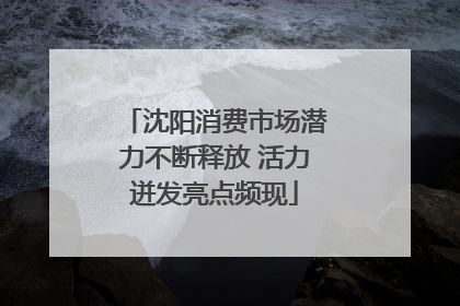 沈阳消费市场潜力不断释放 活力迸发亮点频现