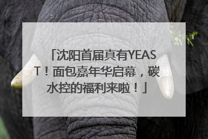 沈阳首届真有YEAST！面包嘉年华启幕，碳水控的福利来啦！