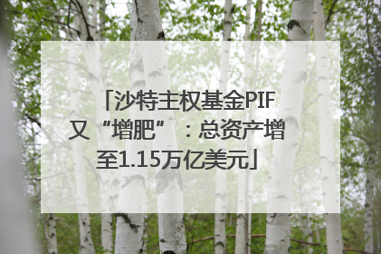 沙特主权基金PIF又“增肥”：总资产增至1.15万亿美元
