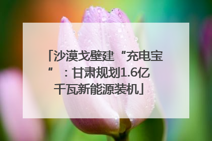 沙漠戈壁建“充电宝”：甘肃规划1.6亿千瓦新能源装机