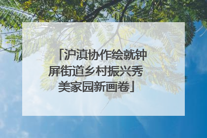 沪滇协作绘就钟屏街道乡村振兴秀美家园新画卷