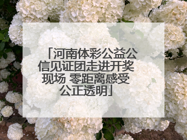 河南体彩公益公信见证团走进开奖现场 零距离感受公正透明