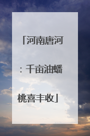 河南唐河：千亩油蟠桃喜丰收