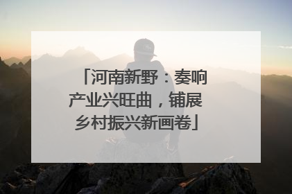 河南新野：奏响产业兴旺曲，铺展乡村振兴新画卷