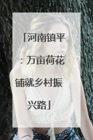 河南镇平：万亩荷花铺就乡村振兴路