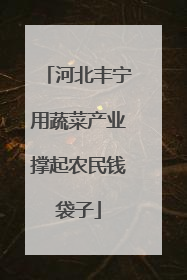 河北丰宁用蔬菜产业撑起农民钱袋子