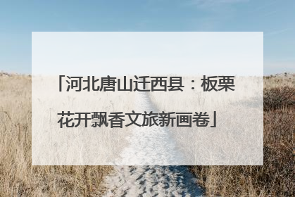 河北唐山迁西县：板栗花开飘香文旅新画卷