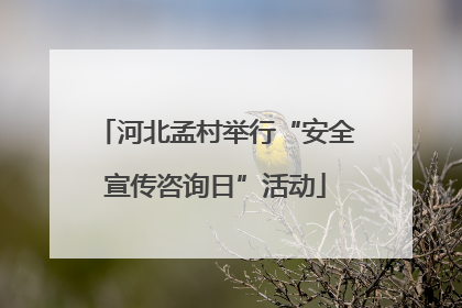 河北孟村举行“安全宣传咨询日”活动