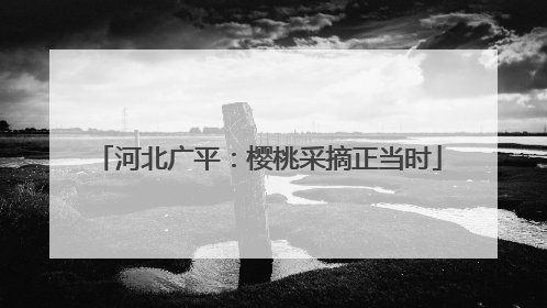 河北广平：樱桃采摘正当时