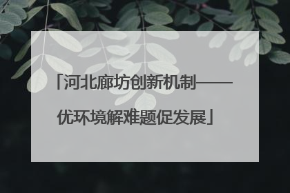 河北廊坊创新机制——优环境解难题促发展