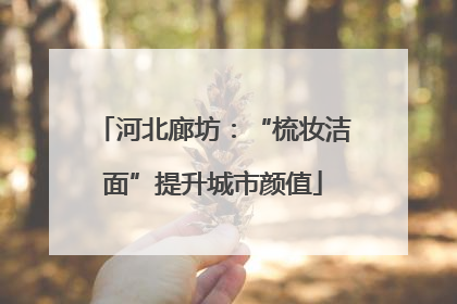 河北廊坊：“梳妆洁面”提升城市颜值