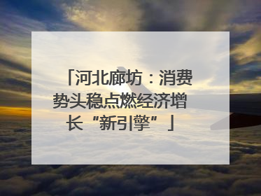 河北廊坊：消费势头稳点燃经济增长“新引擎”