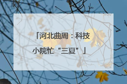河北曲周：科技小院忙“三夏”
