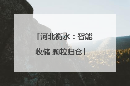 河北衡水：智能收储 颗粒归仓