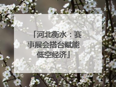 河北衡水：赛事展会搭台赋能低空经济
