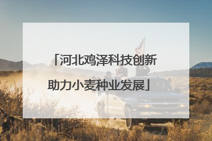 河北鸡泽科技创新助力小麦种业发展