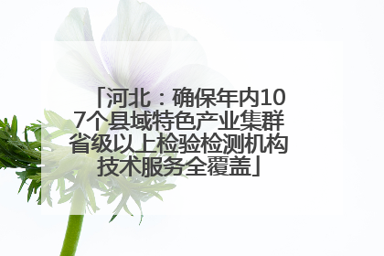 河北：确保年内107个县域特色产业集群省级以上检验检测机构技术服务全覆盖