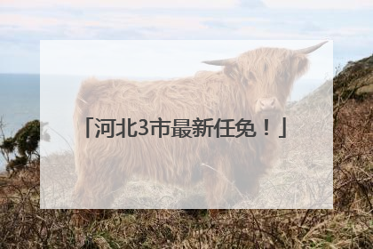 河北3市最新任免！