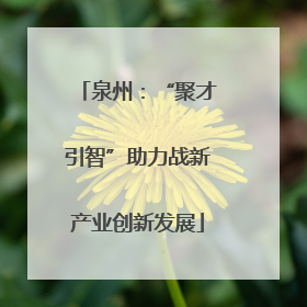泉州：“聚才引智”助力战新产业创新发展