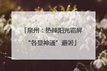 泉州：热辣阳光霸屏 “各显神通”避暑