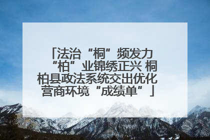 法治“桐”频发力 “柏”业锦绣正兴 桐柏县政法系统交出优化营商环境“成绩单”