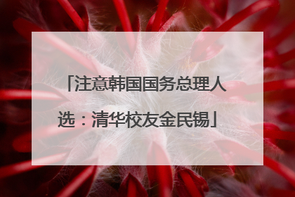 注意韩国国务总理人选：清华校友金民锡