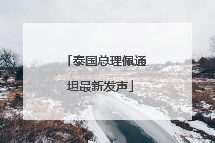 泰国总理佩通坦最新发声