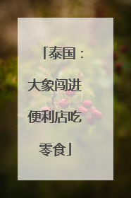 泰国：大象闯进便利店吃零食