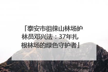 泰安市徂徕山林场护林员邓兴法：37年扎根林场的绿色守护者