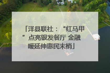 洋县联社：“红马甲”点亮银发餐厅 金融暖延伸惠民末梢