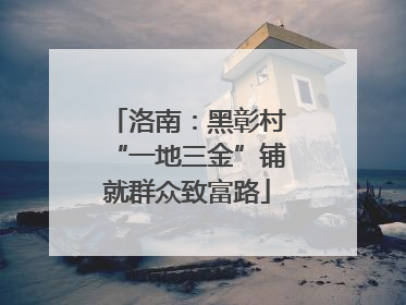 洛南：黑彰村“一地三金”铺就群众致富路