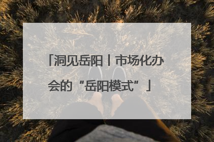 洞见岳阳丨市场化办会的“岳阳模式”