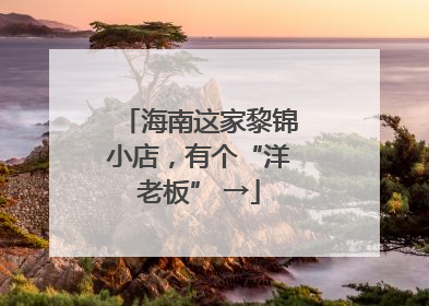 海南这家黎锦小店，有个“洋老板” →