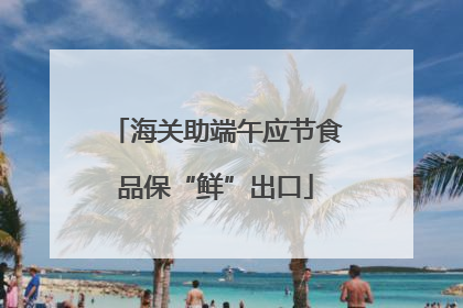 海关助端午应节食品保“鲜”出口