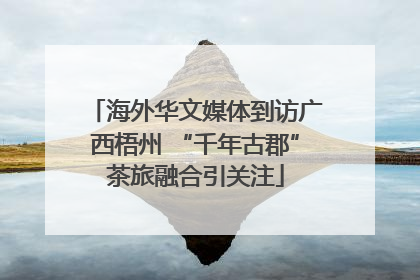 海外华文媒体到访广西梧州 “千年古郡”茶旅融合引关注
