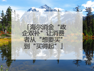 海尔消金“政企双补”让消费者从“想要买”到“买得起”
