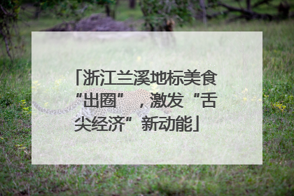 浙江兰溪地标美食“出圈”，激发“舌尖经济”新动能