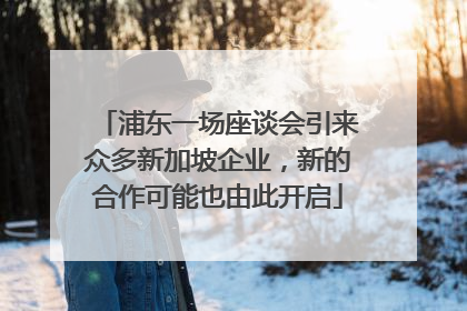 浦东一场座谈会引来众多新加坡企业，新的合作可能也由此开启