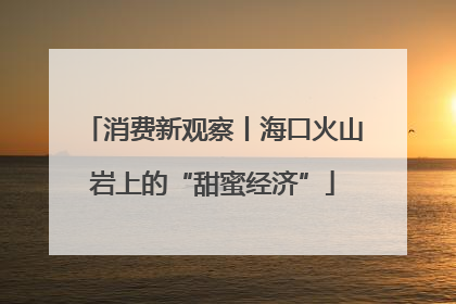 消费新观察丨海口火山岩上的“甜蜜经济”