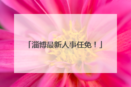 淄博最新人事任免！