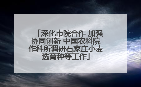 深化市院合作 加强协同创新 中国农科院作科所调研石家庄小麦选育种等工作