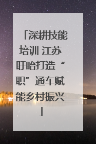 深耕技能培训 江苏盱眙打造“职”通车赋能乡村振兴