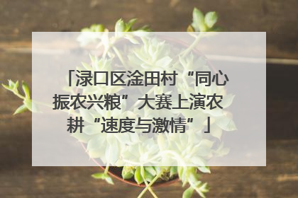 渌口区淦田村“同心振农兴粮”大赛上演农耕“速度与激情”