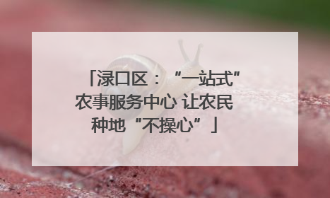 渌口区：“一站式”农事服务中心 让农民种地“不操心”