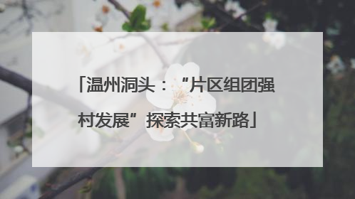 温州洞头：“片区组团强村发展”探索共富新路