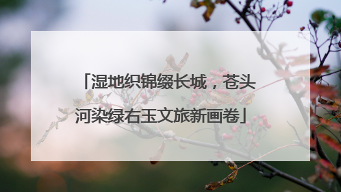 湿地织锦缀长城，苍头河染绿右玉文旅新画卷