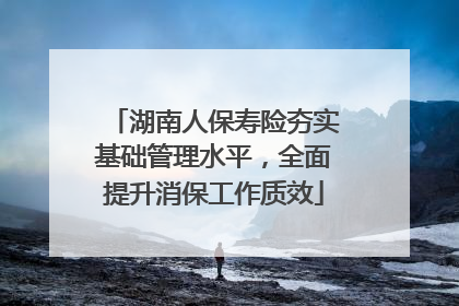 湖南人保寿险夯实基础管理水平，全面提升消保工作质效