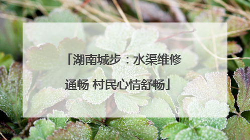 湖南城步：水渠维修通畅 村民心情舒畅