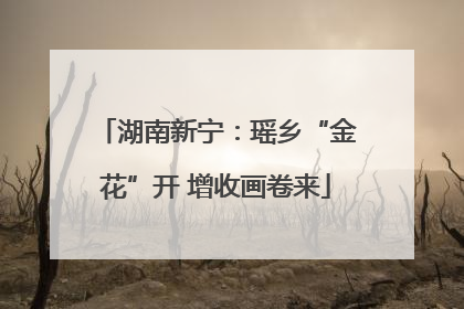 湖南新宁：瑶乡“金花”开 增收画卷来