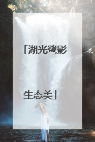 湖光鹭影生态美